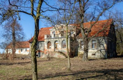 Casa senhorial à venda Rogów Wołowski, Baixa Silésia, Imagem 1/25