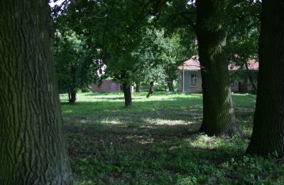 Casa senhorial à venda Rogów Wołowski, Baixa Silésia, Imagem 21/25