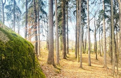 Mansão histórica à venda Staniszów, Baixa Silésia, Imagem 16/26