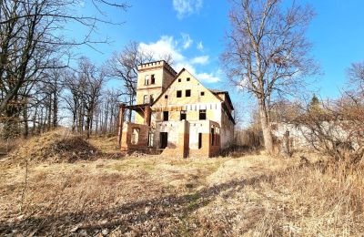 Mansão histórica à venda Staniszów, Baixa Silésia, Imagem 12/26