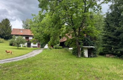 Casa de campo à venda Estíria, Imagem 2/24