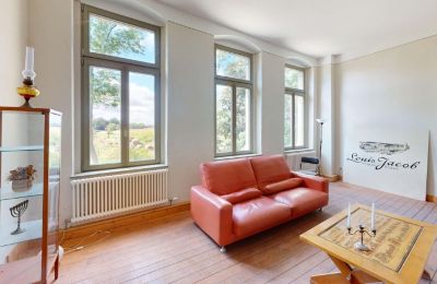 Casa senhorial à venda Elsteraue, Bornitzer Weg 01, Saxônia-Anhalt, Ein-Herrenhaus-mit-Seele-Geschichte-Charakter-und-auergewohnliche-Perspektiven (40)