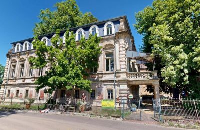 Casa senhorial à venda Elsteraue, Bornitzer Weg 01, Saxônia-Anhalt, Ein-Herrenhaus-mit-Seele-Geschichte-Charakter-und-auergewohnliche-Perspektiven (10)