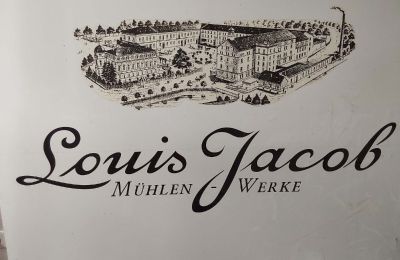 Casa senhorial à venda Elsteraue, Bornitzer Weg 01, Saxônia-Anhalt, Ein-Herrenhaus-mit-Seele-Geschichte-Charakter-und-auergewohnliche-Perspektiven (50)