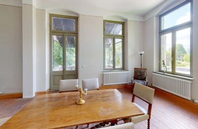 Casa senhorial à venda Elsteraue, Bornitzer Weg 01, Saxônia-Anhalt, Ein-Herrenhaus-mit-Seele-Geschichte-Charakter-und-auergewohnliche-Perspektiven (34)