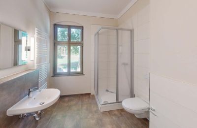 Casa senhorial à venda Elsteraue, Bornitzer Weg 01, Saxônia-Anhalt, Ein-Herrenhaus-mit-Seele-Geschichte-Charakter-und-auergewohnliche-Perspektiven (19)