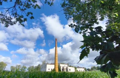 Imóvel histórico à venda Wioska, Kujawsko-pomorskie, Imagem 15/19