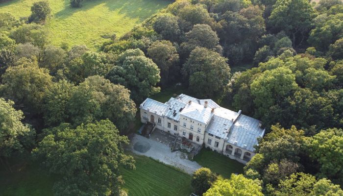 Casa senhorial à venda Pakosław, Grande Polónia
