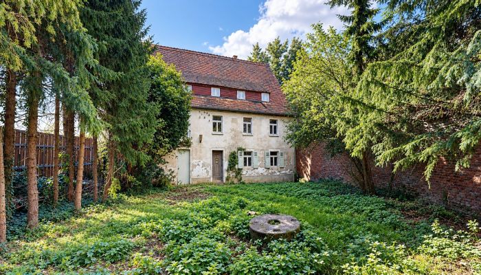 Imóvel histórico à venda 06686 Lützen, Saxônia-Anhalt