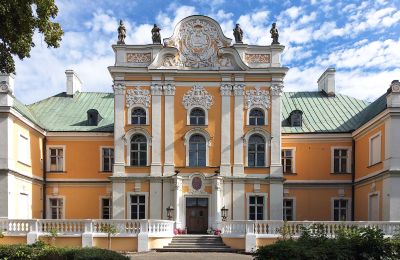 Palácio à venda Czempiń, Grande Polónia, Imagem 15/19