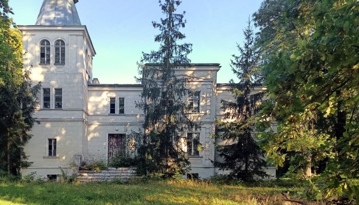 Casa senhorial à venda Goniembice, Wielkopolskie,  Polónia