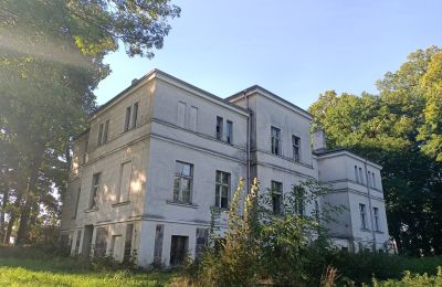 Casa senhorial à venda Goniembice, Dwór w Goniembicach, Wielkopolskie, Imagem 5/8