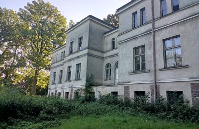 Casa senhorial à venda Goniembice, Dwór w Goniembicach, Wielkopolskie, Vista lateral