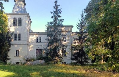 Casa senhorial Goniembice, Wielkopolskie