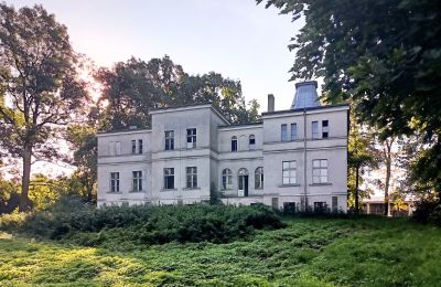 Casa senhorial à venda Goniembice, Dwór w Goniembicach, Wielkopolskie, Dwór w Goniembicach 2025