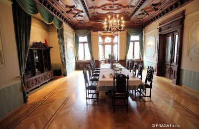Villa histórica à venda Ústecký kraj, Imagem 6/17