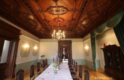 Villa histórica à venda Ústecký kraj, Imagem 7/17