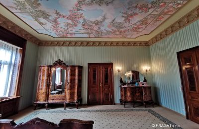 Villa histórica à venda Ústecký kraj, Imagem 15/17