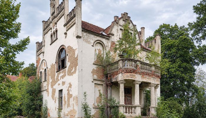 Casa senhorial Piotrowo, Grande Polónia