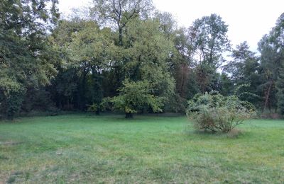Casa senhorial à venda Brodnica, Wielkopolskie, Jardim palaciano