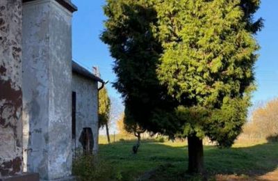 Casa senhorial à venda Mzurów, Slaskie,, Imagem 4/5