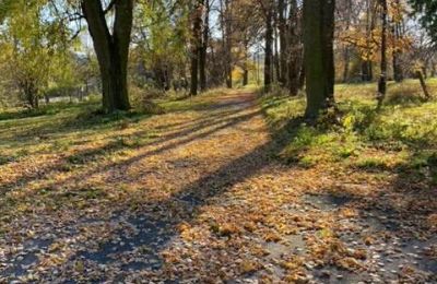 Casa senhorial à venda Mzurów, Slaskie,, Imagem 5/5