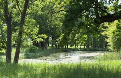 Casa senhorial à venda Gierłachowo, Dwór w Gierłachowie 18a, Wielkopolskie, Imagem 33/34