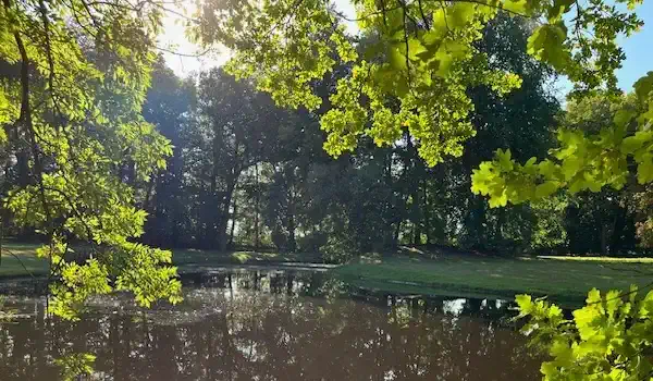 Parque com lago, casa senhorial Niendorf