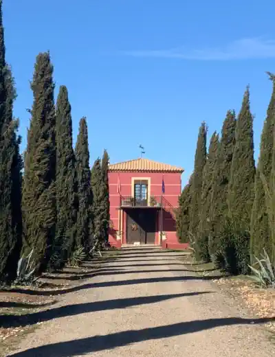 Ofertas de propriedades em Espanha Castela-Mancha