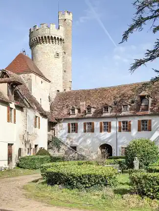 Castelo histórico à venda no Allier, França - Oportunidade única, Veauce, Auvergne-Rhône-Alpes