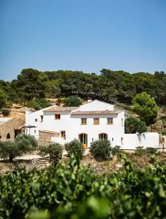 Propriedade histórica com vinhedos ao sul de Barcelona, Masllorenç, Catalunha